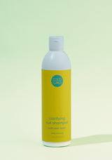 Clarifying Curl Shampoo