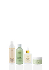 Healthy Hair Journey
