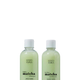 Matcha Basics