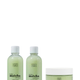 Matcha Repair Bundle